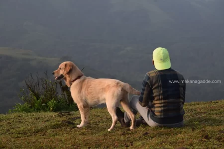 Pet-friendly-Homestay-in-Chikmagalur-scaled